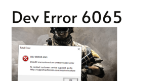 Dev Error 6065