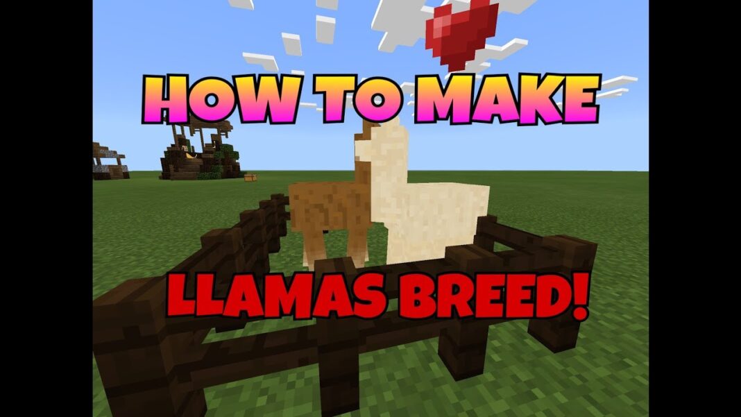How To Breed Llamas in Minecraft? - Guide, Steps - JGuru