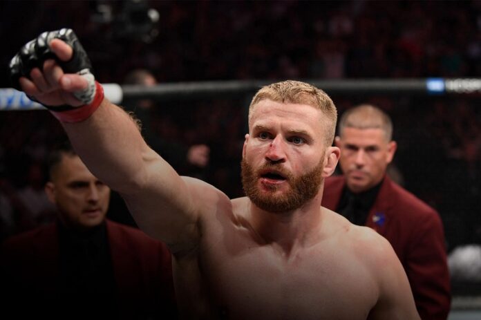 blachowicz-hero_1