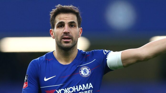 cesc-fabregas chelsea www.jguru.com