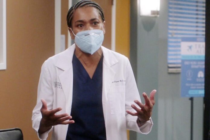 Grey's Anatomy Season 17
