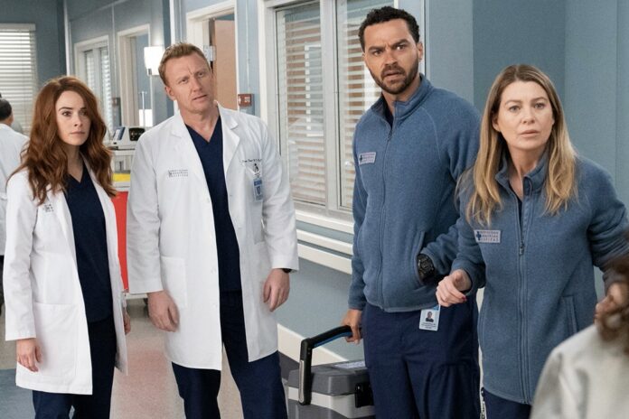 Grey’s Anatomy Season 17 Grey’s Anatomy Season 17