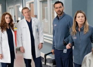 Grey's Anatomy Season 17