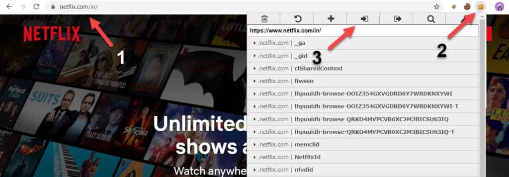 how to use Netflix cookies