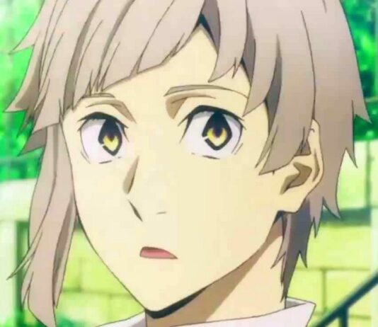 Bungou Stray Dogs Season 4