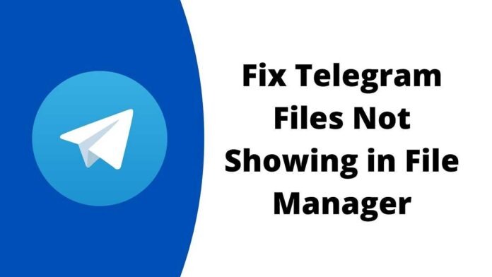How to Fix Telegram Files Not Showing in File Manager or Gallery How to Fix Telegram Files Not Showing in File Manager or Gallery