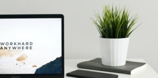 MacBook Pro near green potted plant on table