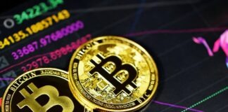 gold and black round star print