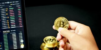 gold round coin on persons hand