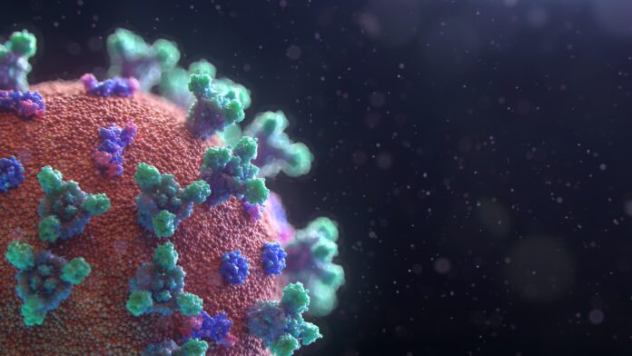 Photo by Fusion Medical Animation Visualization of the Coronavirus