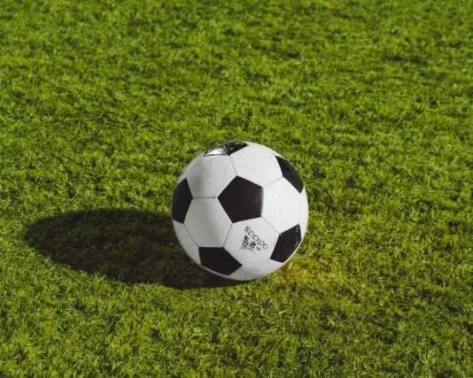 top futbolli bardh e zi në fushë me bar