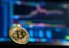 Discussion of Bitcoin Profit Via Graphical Details gold-colored Bitcoin
