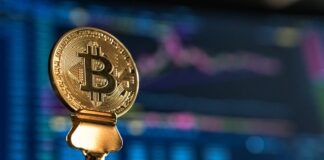 selective focus photo of Bitcoin near monitor