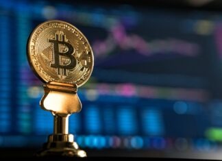 Information on Struggle and Sustainability of Bitcoin selective focus photo of Bitcoin near monitor