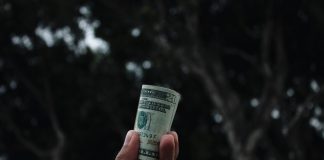 person holding U.S. dollar banknote