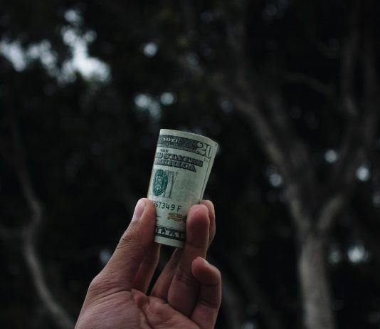person holding U.S. dollar banknote
