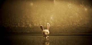 close-up photo of brown rabbit