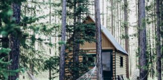 wooden house with hammock attached on tree