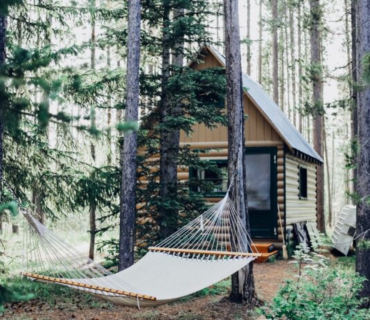 wooden house with hammock attached on tree