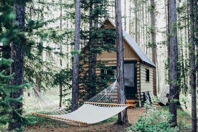 Photo by Cara Fuller wooden house with hammock attached on tree