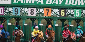 people riding horses during daytime