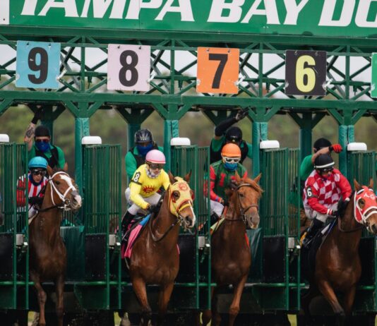 people riding horses during daytime