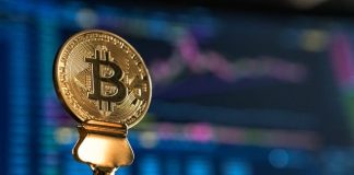 selective focus photo of Bitcoin near monitor
