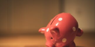 pink pig coin bank on brown wooden table