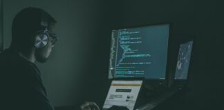 person using laptop computers