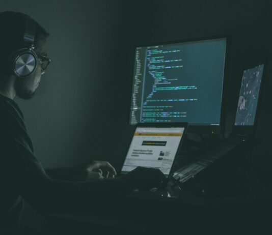 person using laptop computers