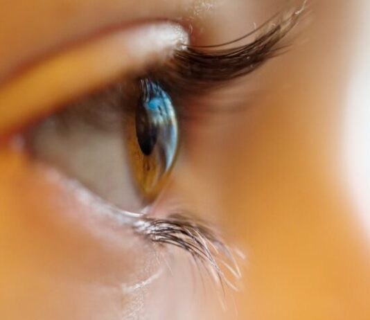 shallow focus photo of person brown iris