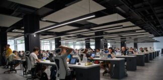 people doing office works