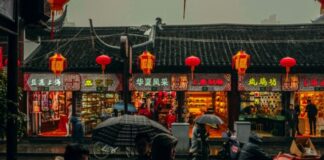 person carrying umbrellas