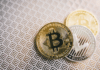 Crypto Casinos: Are Bitcoin Casinos the Future of Online Gambling?