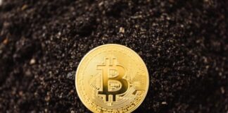 Close-Up Shot of a Bitcoin on the ground