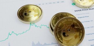 dogecoin, coins, cryptocurrency