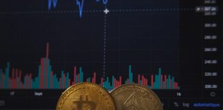 blue and red line illustration