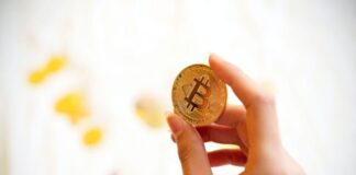 crash game - The Ultimate Guide on Strategies To Master The Crash Game