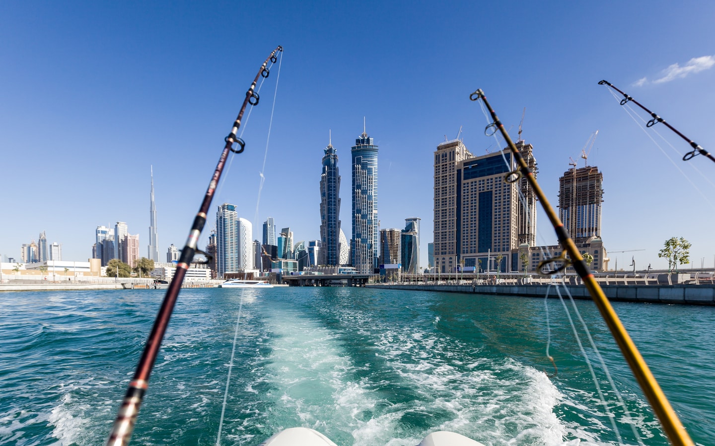 Fishing in Dubai - Top Places, License, Operators, Prices