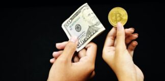 person holding 20 us dollar bill