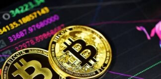 gold and black round star print