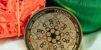 a gold coin sitting next to a red bag