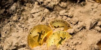 three Bitcoins on soil