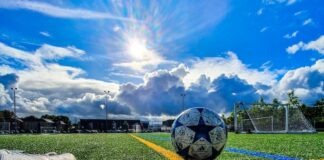 blue and grey soccer ball on green field under white and blue sky during daytime