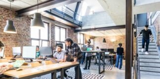 man standing beside another sitting man using computer