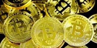 gold and silver round coins