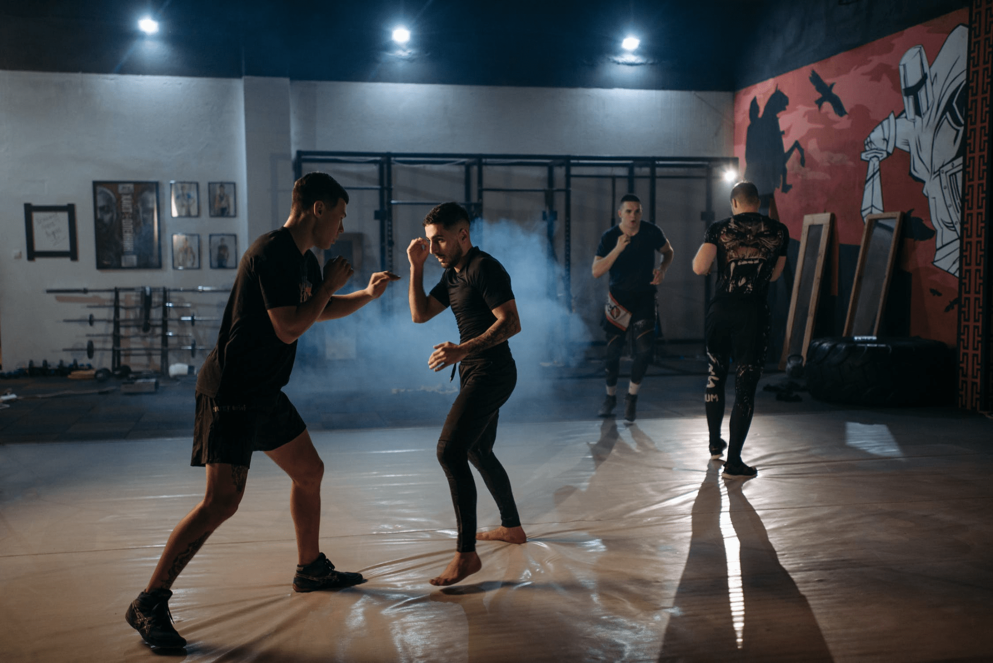 Mixed Martial Arts in College: Examining the Physical and Mental ...