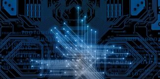 web, network, circuit board