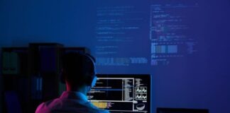 software developer, web developer, programmer