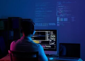 software developer, web developer, programmer